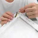 3007900.1.webp