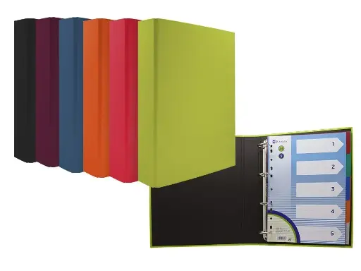 [329466] CARPETA CARTON 4AM-35 SURT: 6 colores con separador